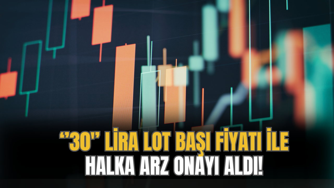 Lira Fiyat Le Milyon Lot Da Tacak Halka Arz Detaylar