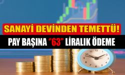 Borsanın Güçlü Şirketinden Pay Başına ''63'' TL'lik Kar Payı Ödemesi! Tarih Duyuruldu