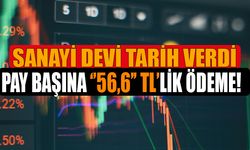 Pay Başına ''56,6'' TL'lik Temettü Ödemesi Yarın Yapılacak! İşte Temettü Detayları