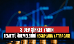 3 Dev Şirket Yarın Temettü Ödemelerini Hesaplara Yatıracak