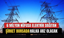 Türkiye'de 6 Milyon Nüfusa Elektrik Dağıtım Hizmeti Veren Şirket Borsada Halka Arz Oluyor