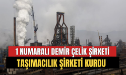 1 Numaralı Demir Çelik Şirketi 200 Milyon TL Sermayeli Taşımacılık Şirketi Kurdu