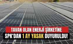 Tavan Olan Enerji Şirketine SPK'dan 1 Ay Yasak Duyuruldu