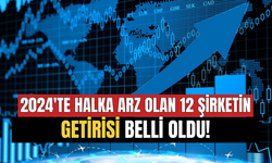 2024'te Halka Arz Olan 12 Şirketin Getirisi Belli Oldu! O Hisseler Parayı Katladı