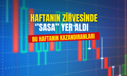 Bu Hafta Hangi Hisse Ne Kadar Kazandırdı ? SASA Zirvede DOAS Düşüşte