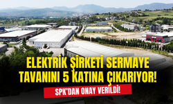 SPK'dan Onay Geldi! Elektrik Şirketi Sermaye Tavanını 5 Katına Çıkartıyor