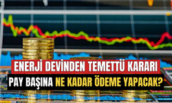 Enerji Dev Temettü Kararını Açıkladı! Pay Başına Ne Kadar Ödeme Yapacak