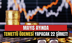 Mayıs Ayında Temettü Ödemesi Yapacak 22 Şirket