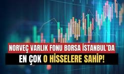 Norveç Varlık Fonları Borsa İstanbul'da En Çok O Hisselere Sahip