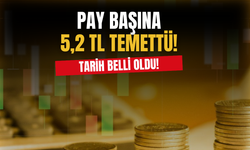 Yatırım Şirketi Pay Başına 5,2 TL Temettü Ödemesi Yapacak! Tarih Belli Oldu