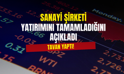 Tavan Yapan Sanayi Şirketi Yeni Yatırımını Açıkladı!