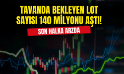 Son Halka Arzda Tavanda Bekleyen Lot Sayısı 140 Milyonu Aştı