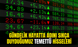 Gündelik Hayatımızda Adını Sıkça Duyduğumuz Temettü Veren Borsa Hisseleri