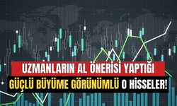 Uzmanların Al Önerisinde Bulunduğu Güçlü Büyüme Görünümlü O Hisseler Belli Oldu