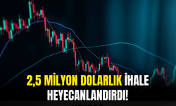 2,5 Milyon Dolarlık Anlaşma Yatırımcıları Heyacanlandırdı