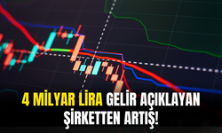 4 Milyar Lira Gelir Açıklayan Sanayi Şirketi Kapasite Artışına Gidiyor