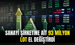 Sanayi Şirketine Ait 93 Milyon Lot El Değiştirdi