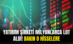 Yatırım Şirketi Milyonlarca Lot Hisse Aldı! Bakın Neler Almış ?