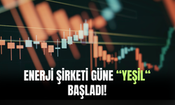 Güne Yeşil İle Başlayan Enerji Hissesi Yatırımcısını Mutlu Etmeye Devam Ediyor