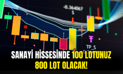 Sanayi Hissesinde 100 Lotunuz 800 Lot Olacak!