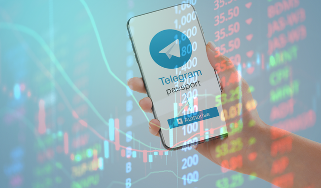 Yatırımcılara Altın Fırsat! Telegram Halka Arz Olacak!