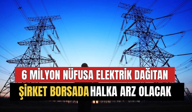 Türkiye'de 6 Milyon Nüfusa Elektrik Dağıtım Hizmeti Veren Şirket Borsada Halka Arz Oluyor