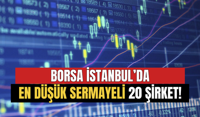Borsa İstanbul'da En Düşük Sermayeli 20 Şirket