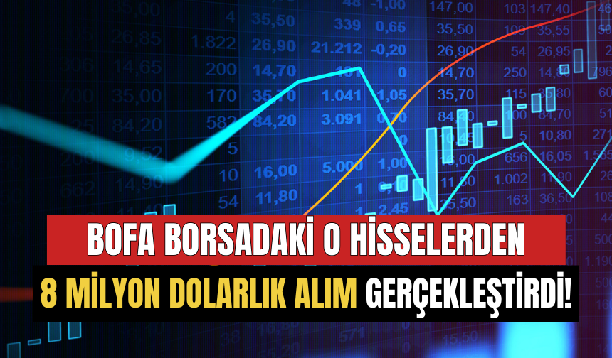 BofA Borsa İstanbul'daki O Hisselerden 8 Milyon Dolarlık Alım Gerçekleştirdi