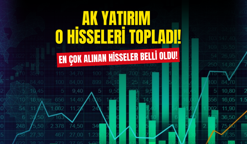 Ak Yatırım Borsa İstanbul'daki O Hisseleri Topladı